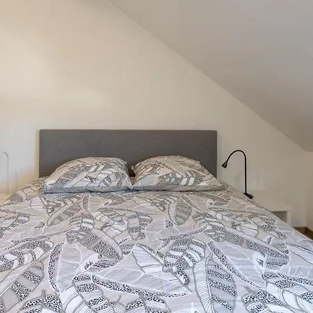 Avec Rooftop Au Centre De Malmedy